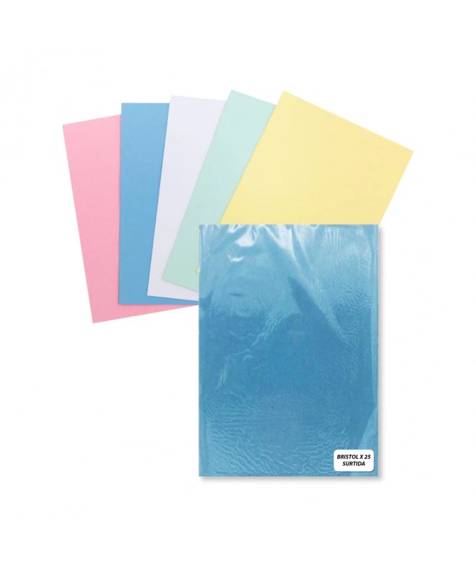 Cartulina Bristol Carta 21,6x27,9 Cms 