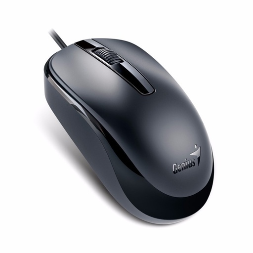 [707103] Mouse GENIUS USB DX-120